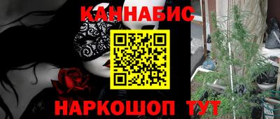 сатива Будённовск